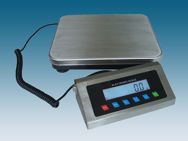 Stainless steel body scales